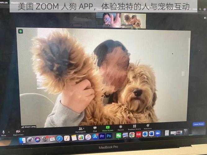 美国 ZOOM 人狗 APP，体验独特的人与宠物互动